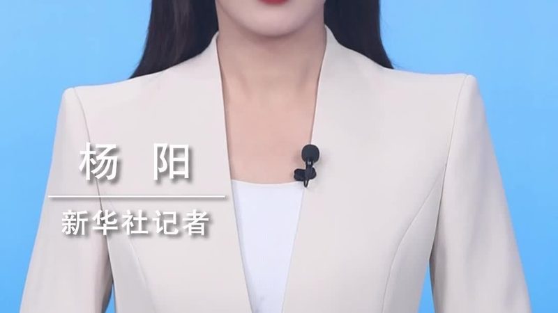 机器学习平台架构：如何构建高效、可靠的计算基石**
